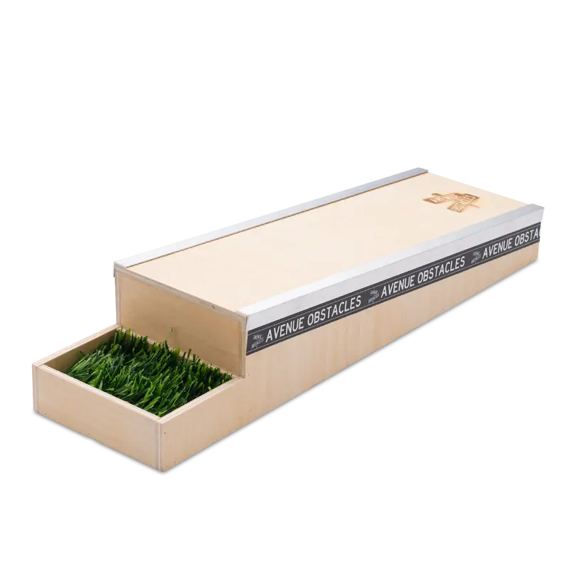 Avenue Fingerboard Ramp - Bushy Ledge 1