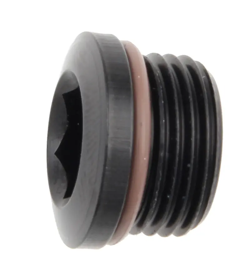 Fragola 481312-Bl #12 Port Plug With Hex Socket Drive 1
